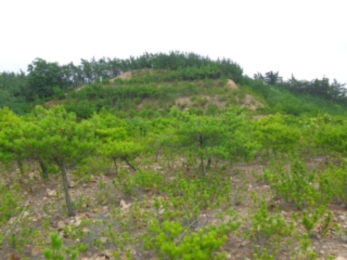 충남 태안군 남면 임야 경매 물건 사진 6 · 2024타경55868