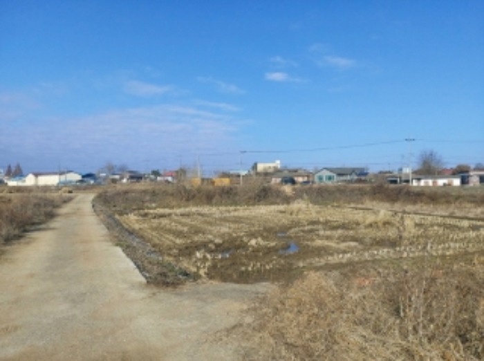 충남 당진시 우강면 답 경매 물건 사진