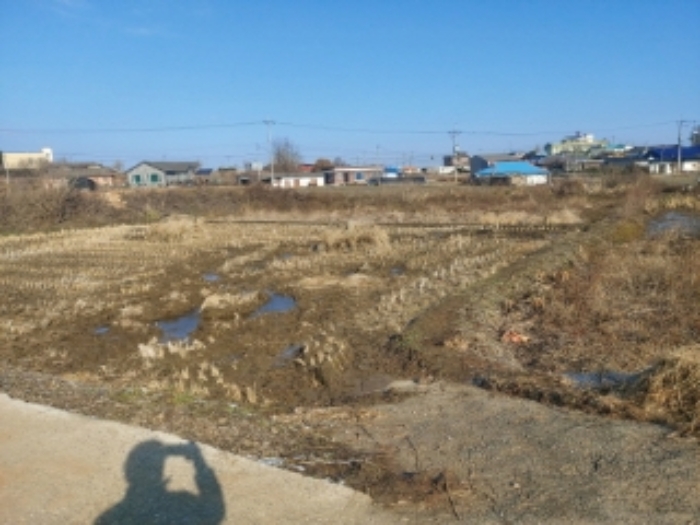 충남 당진시 우강면 답 경매 물건 사진 2 · 2024타경57352