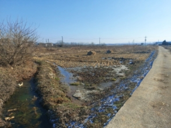 충남 당진시 우강면 답 경매 물건 사진 3 · 2024타경57352