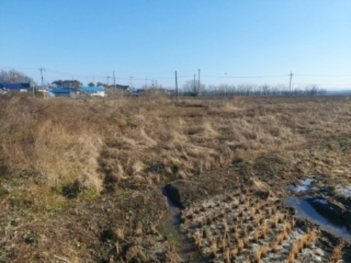 충남 당진시 우강면 답 경매 물건 사진 4 · 2024타경57352