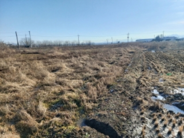충남 당진시 우강면 답 경매 물건 사진 5 · 2024타경57352