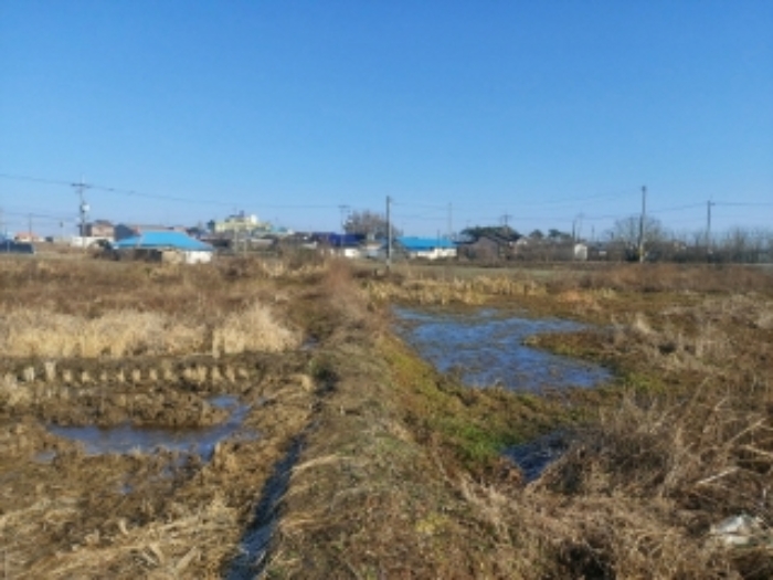 충남 당진시 우강면 답 경매 물건 사진 6 · 2024타경57352