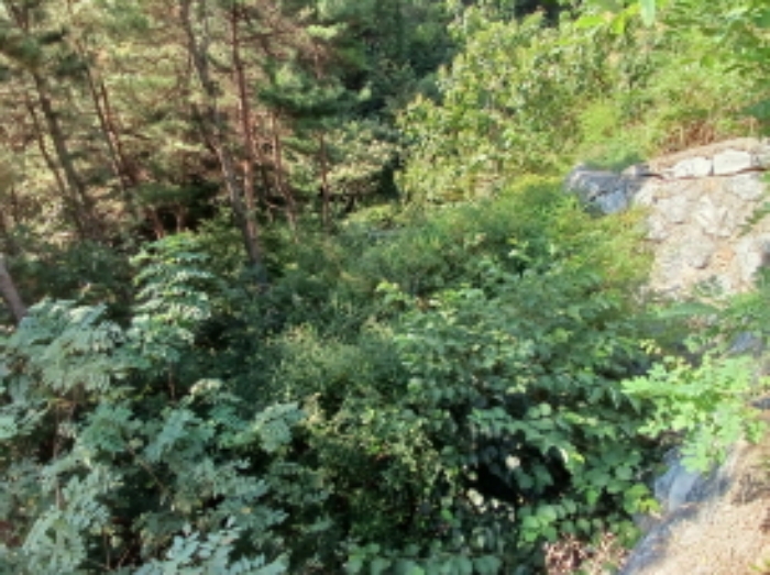 충남 서산시 운산면 도로 경매 물건 사진 3 · 2024타경57413