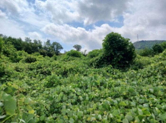 충남 서산시 운산면 도로 경매 물건 사진 4 · 2024타경57413