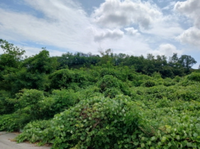 충남 서산시 운산면 도로 경매 물건 사진 5 · 2024타경57413