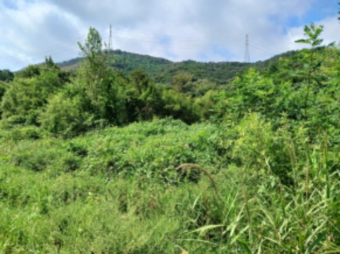 충남 서산시 운산면 도로 경매 물건 사진 6 · 2024타경57413
