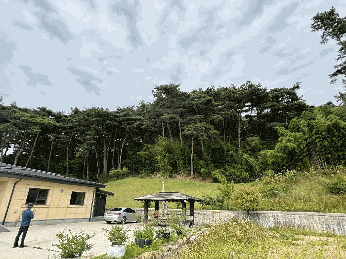 충청남도 서산시 부석면 강수리 산12 임야 경매 물건 사진