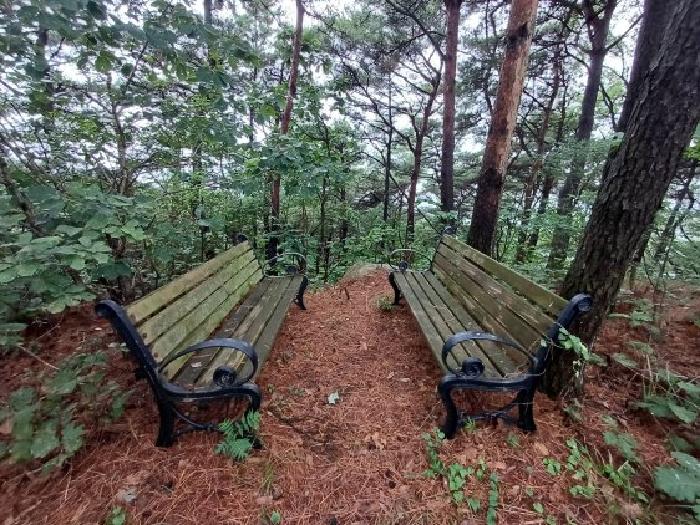 충남 서산시 부석면 임야 경매 물건 사진 6 · 2024타경59532