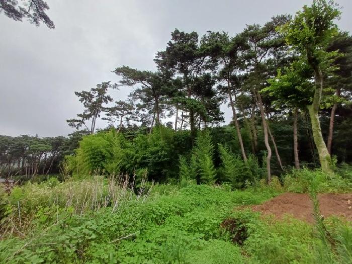 충남 서산시 부석면 임야 경매 물건 사진