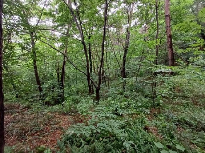 충남 서산시 부석면 임야 경매 물건 사진 4 · 2024타경59532