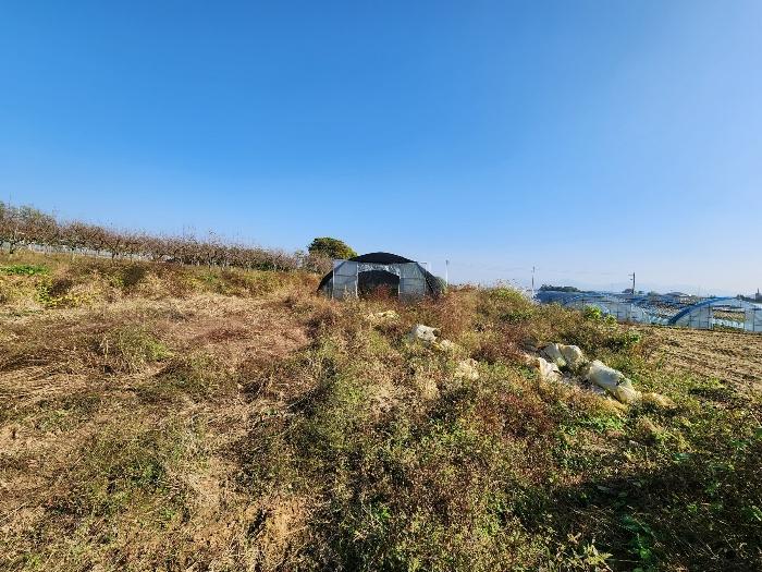 충남 당진시 합덕읍 전 경매 물건 사진 5 · 2024타경59716
