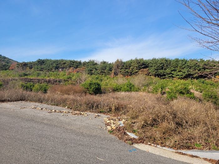 충청남도 서산시 운산면 고산리 427 전 경매 물건 사진