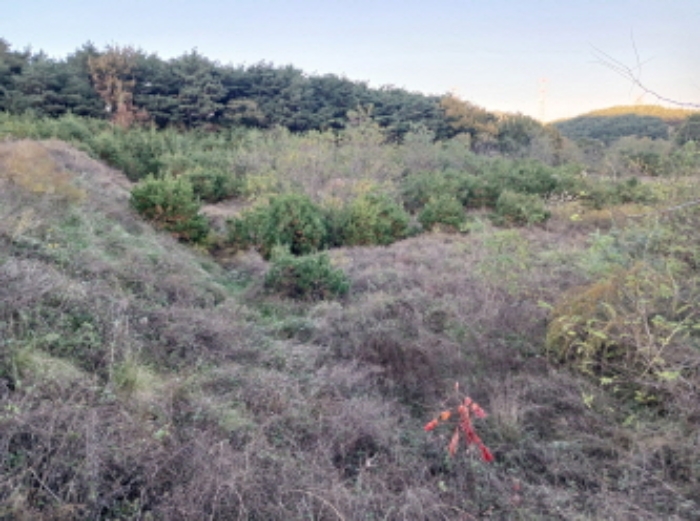 충남 서산시 운산면 전 경매 물건 사진 3 · 2024타경60037