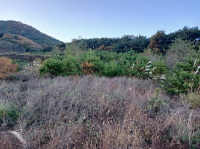충남 서산시 운산면 전 경매 물건 사진 4 · 2024타경60037
