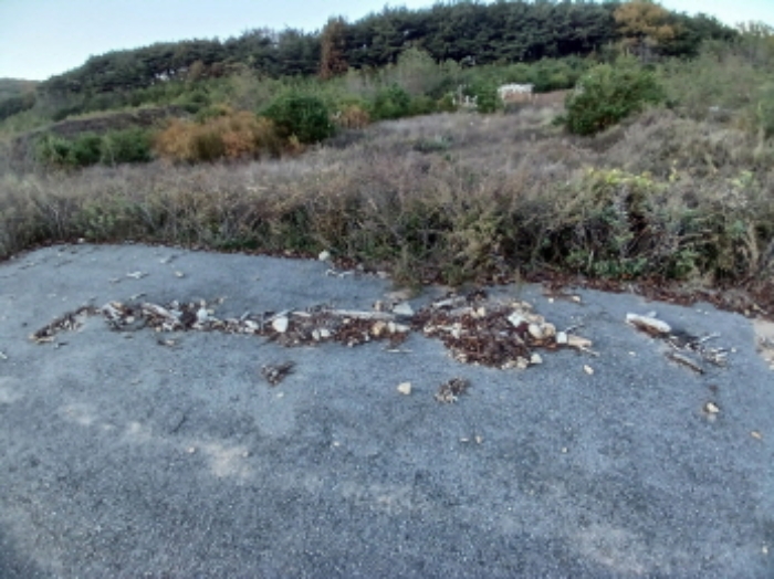 충남 서산시 운산면 전 경매 물건 사진 5 · 2024타경60037