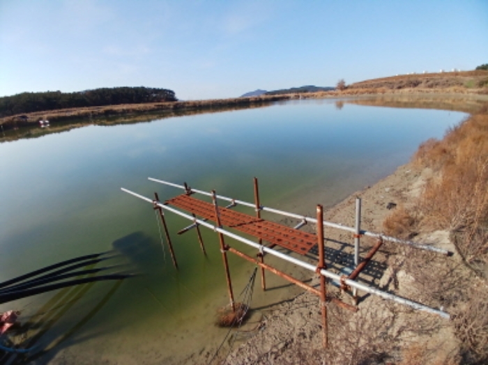 충남 서산시 대산읍 염전 경매 물건 사진 5 · 2024타경60549