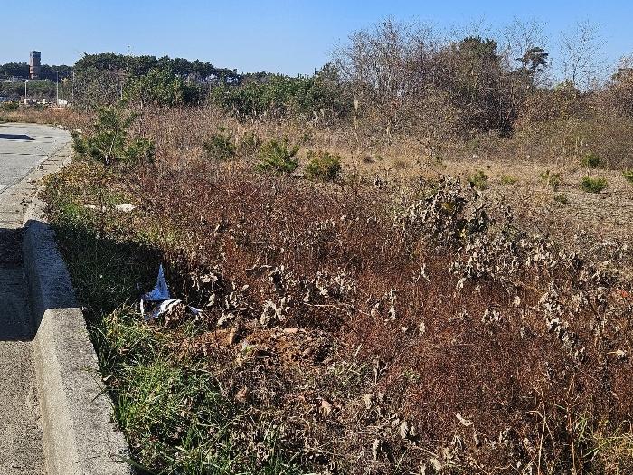 충남 태안군 남면 토지 기타 경매 물건 사진