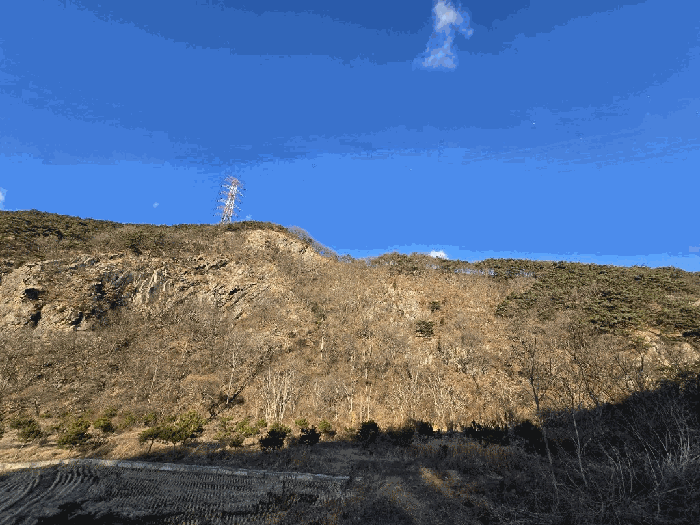 충청남도 당진시 구룡동 산191-3 임야 경매 물건 사진
