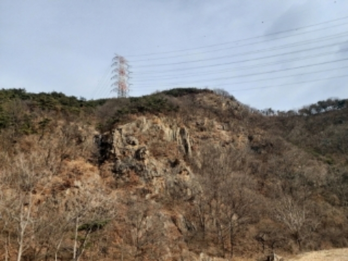 충남 당진시 구룡동 임야 경매 물건 사진 2 · 2024타경61573