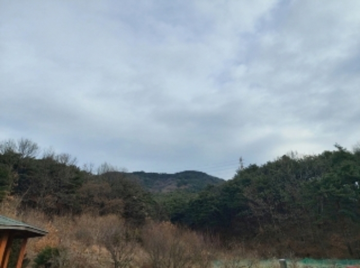 충남 당진시 구룡동 임야 경매 물건 사진 3 · 2024타경61573