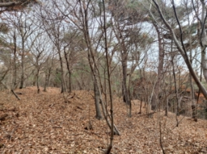 충남 당진시 구룡동 임야 경매 물건 사진 4 · 2024타경61573