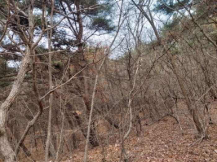 충남 당진시 구룡동 임야 경매 물건 사진 6 · 2024타경61573