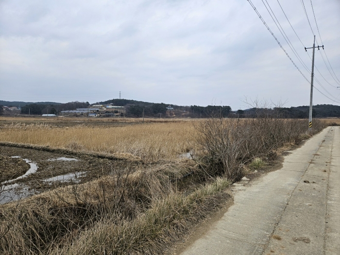 충남 서산시 지곡면 답 경매 물건 사진 6 · 2024타경61658