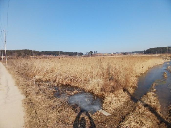 충남 서산시 지곡면 답 경매 물건 사진
