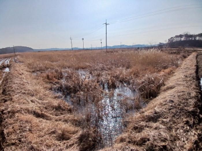충남 서산시 지곡면 답 경매 물건 사진 2 · 2024타경61658