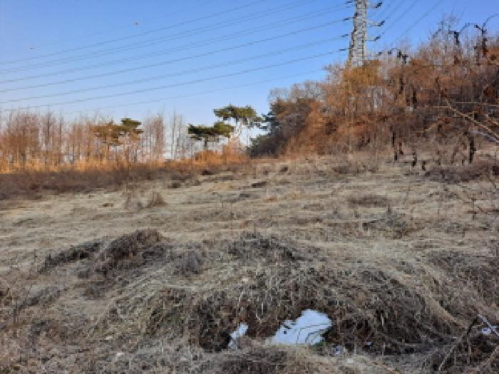 충남 당진시 송악읍 전 경매 물건 사진 4 · 2025타경186