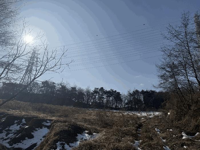 충남 당진시 송악읍 전 경매 물건 사진 3 · 2025타경186