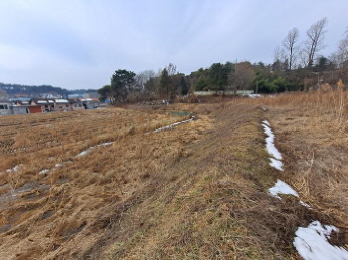 충남 당진시 순성면 답 경매 물건 사진 3 · 2025타경216