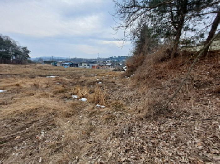 충남 당진시 순성면 답 경매 물건 사진 6 · 2025타경216