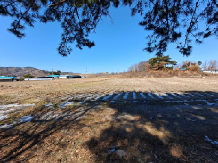 충남 당진시 순성면 전 경매 물건 사진 6 · 2025타경407