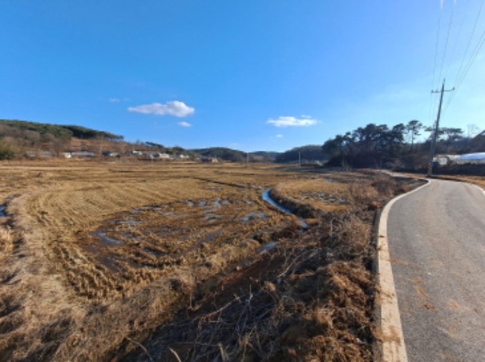 충남 당진시 송악읍 답 경매 물건 사진 6 · 2025타경50013