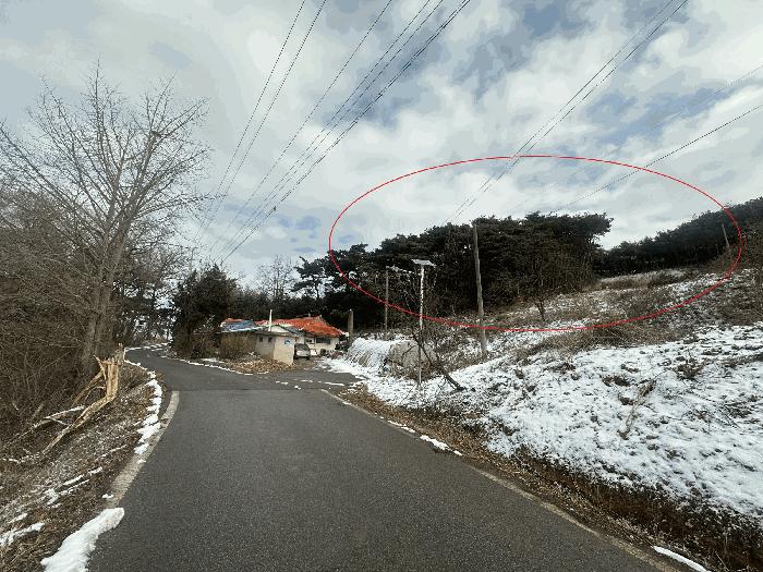 충남 당진시 송악읍 답 경매 물건 사진 3 · 2025타경50013