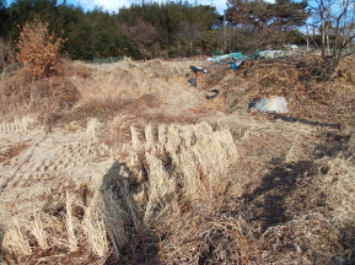 충남 서산시 대산읍 전 경매 물건 사진
