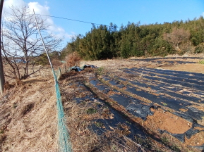충남 서산시 대산읍 전 경매 물건 사진 2 · 2025타경50037