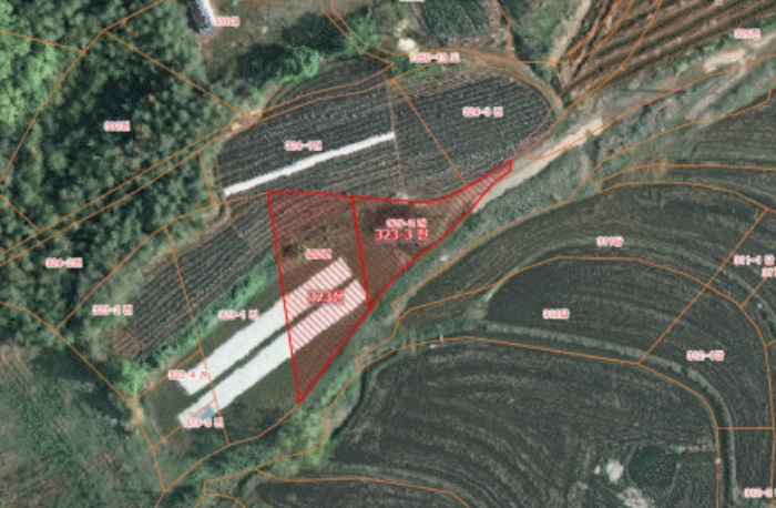 충남 서산시 대산읍 전 경매 물건 사진 3 · 2025타경50037