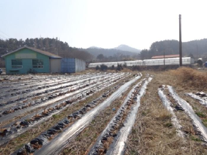 충남 태안군 원북면 대지 경매 물건 사진 6 · 2025타경50082