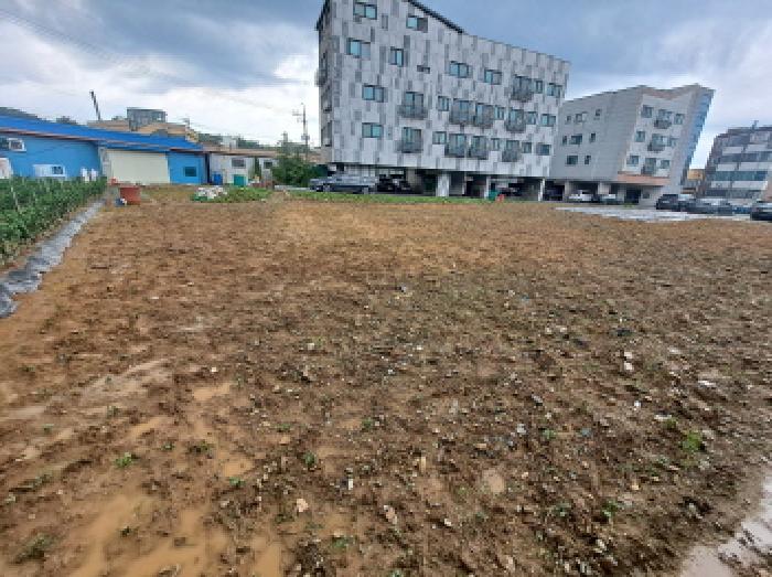 충남 당진시 읍내동 답 경매 물건 사진 6 · 2025타경501