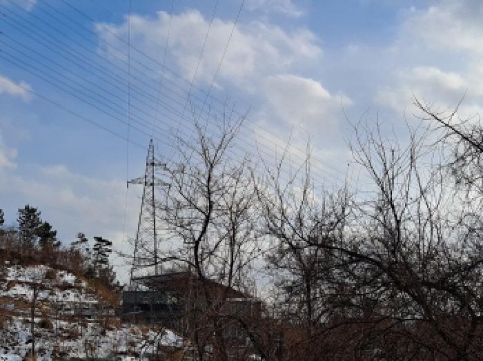 충남 당진시 송악읍 임야 경매 물건 사진 4 · 2025타경50143