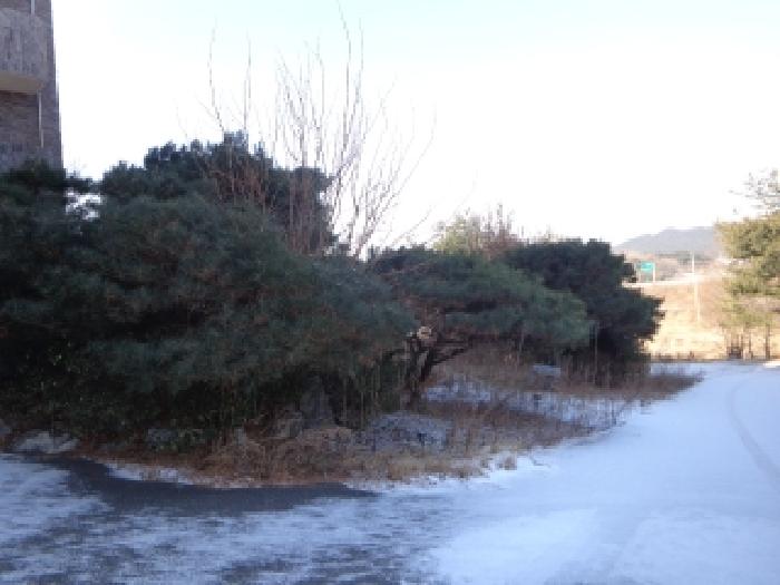 충남 태안군 소원면 숙박시설 경매 물건 사진 4 · 2025타경50297