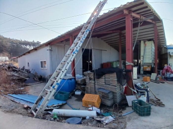 충남 서산시 대산읍 토지 기타 경매 물건 사진 4 · 2025타경50303