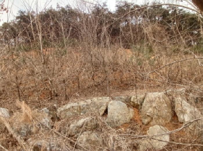 충남 당진시 고대면 임야 경매 물건 사진 4 · 2025타경50365