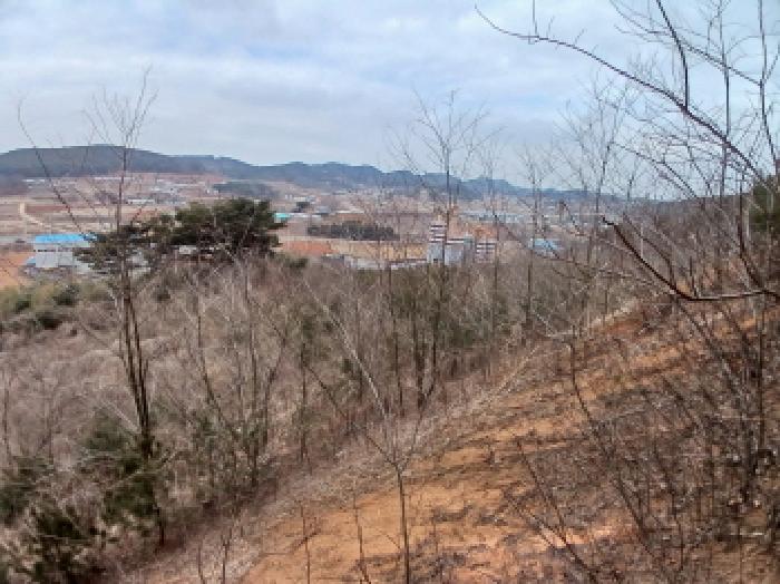 충남 당진시 고대면 임야 경매 물건 사진 5 · 2025타경50365