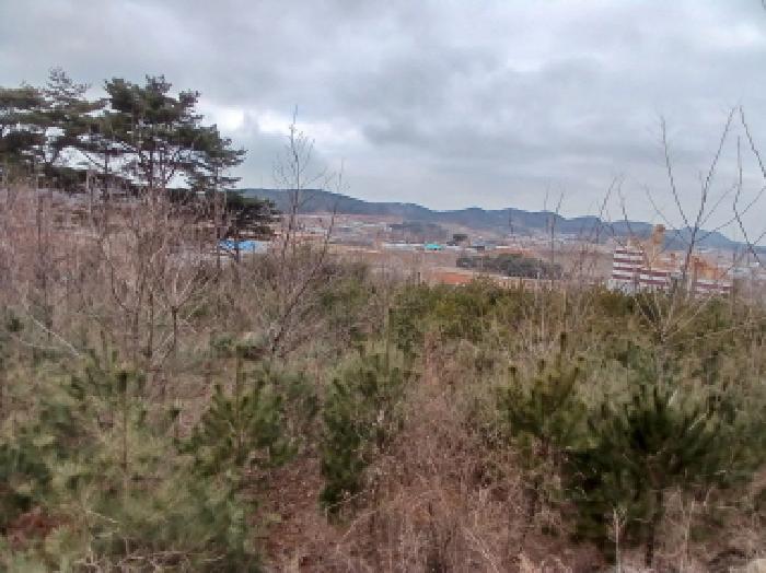 충남 당진시 고대면 임야 경매 물건 사진 6 · 2025타경50365