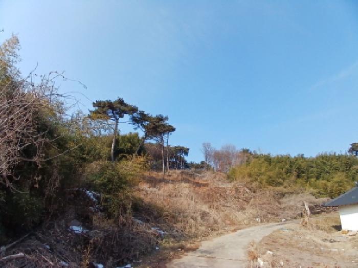 충남 당진시 석문면 전 경매 물건 사진