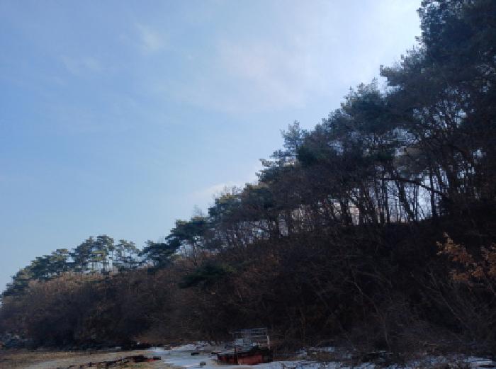 충남 당진시 석문면 전 경매 물건 사진 2 · 2025타경50648